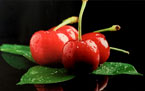 Cherry Graphic